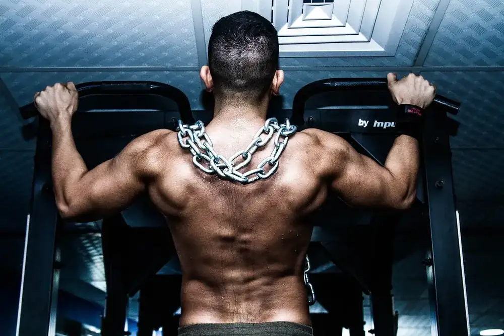 Prise de masse musculaire