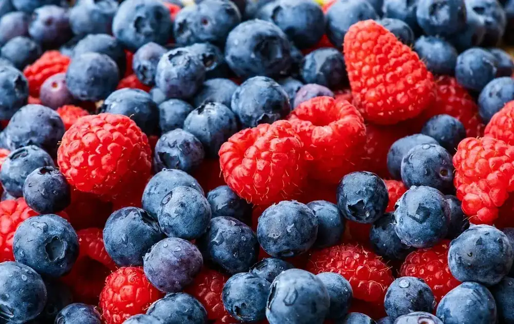 Vitamines et minéraux pour la récupération