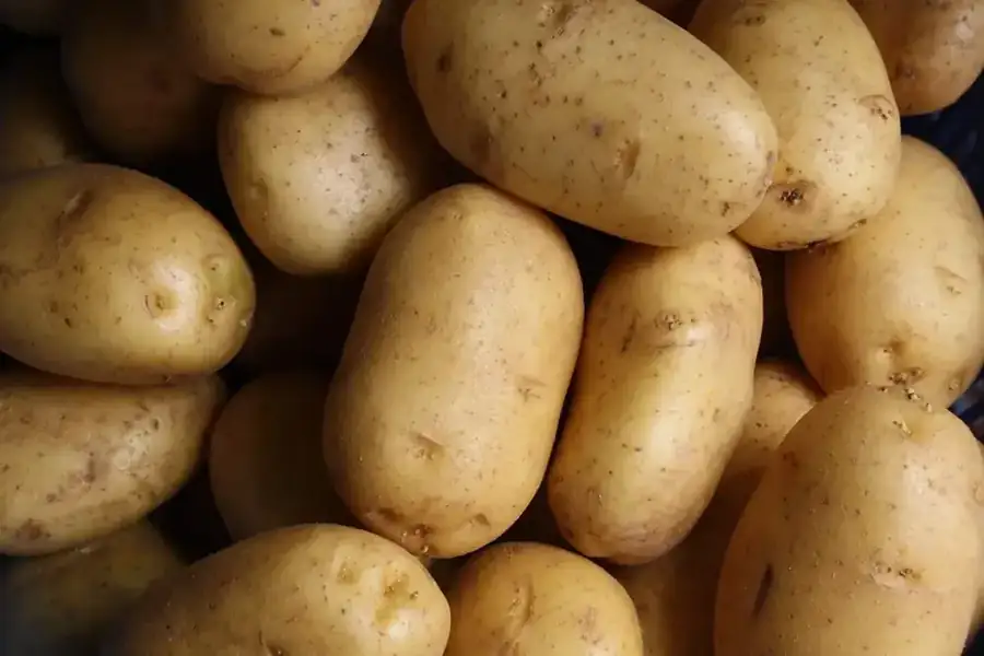 la pomme de terre peut être cuite de différentes manières