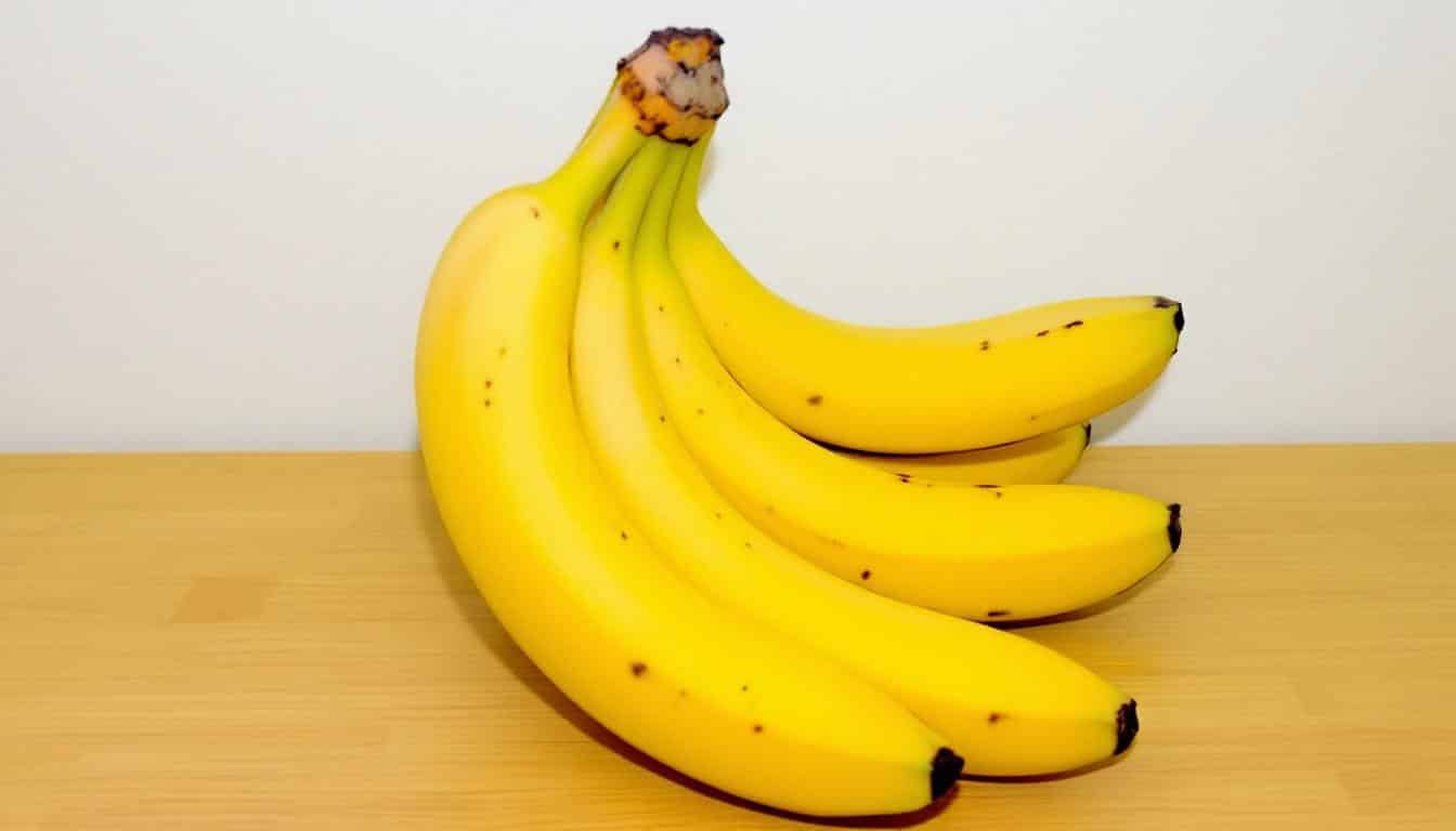 découvrez les meilleurs aliments pour augmenter votre énergie naturellement au quotidien. profitez de conseils nutritionnels pour lutter contre la fatigue et rester en pleine forme grâce à une alimentation équilibrée.
